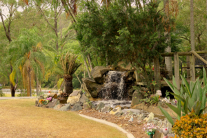 Eco Gardens 1