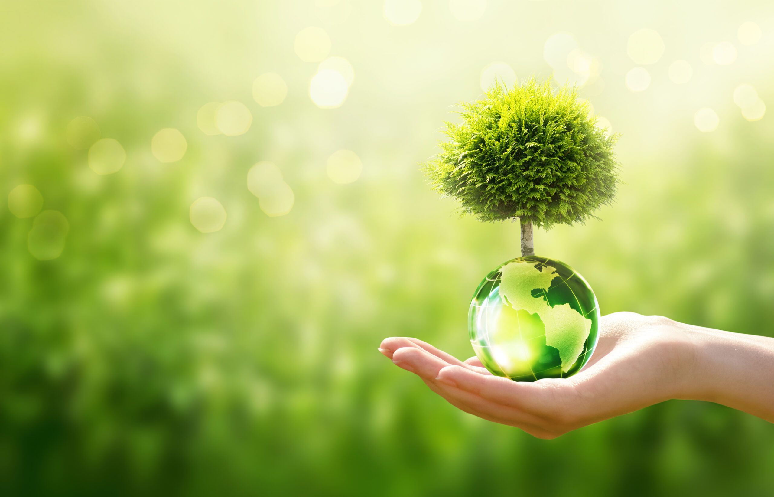 Earth Day or World Environment Day, environmentally friendly con